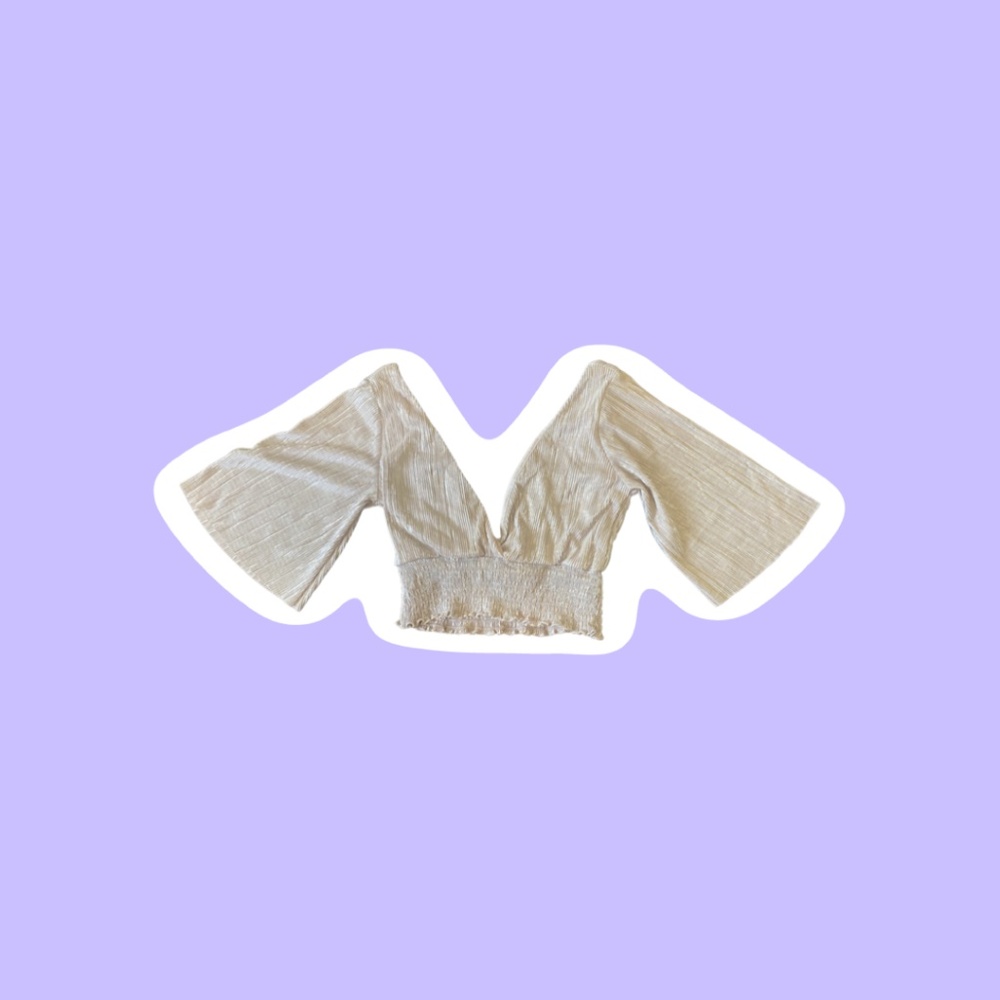Forever 21 Shimmery Taupe Crop Top